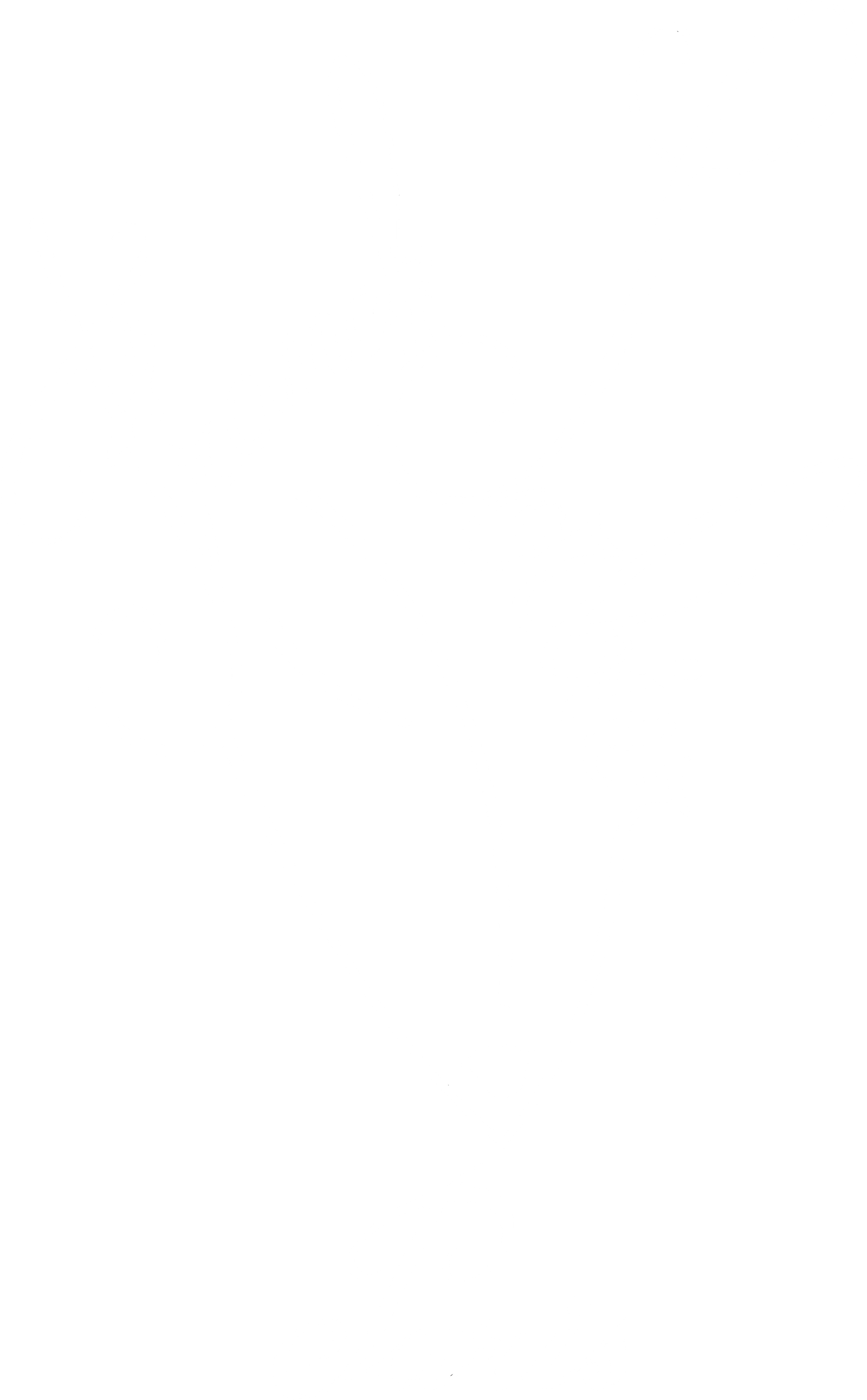 Franck Sorbier Haute Couture